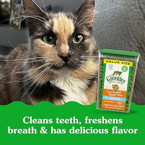 Why Greenies Feline Adult Dental Cat Treats Are Essential for Your Cat's Health