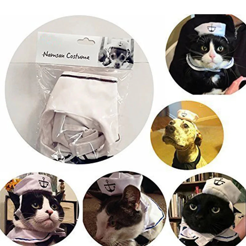 Set Sail into Cuteness: The Funny Pet Navy Sailor Costume