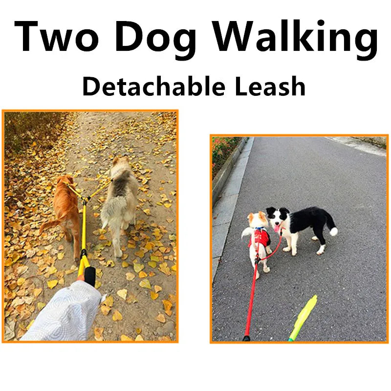 Walking Two Dogs Made Easy: Discover the Double Leash with Detachable Dog Chains!