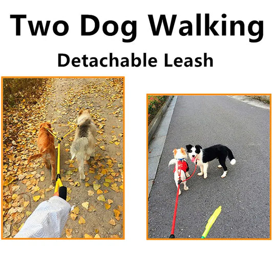 Walking Two Dogs Made Easy: Discover the Double Leash with Detachable Dog Chains!