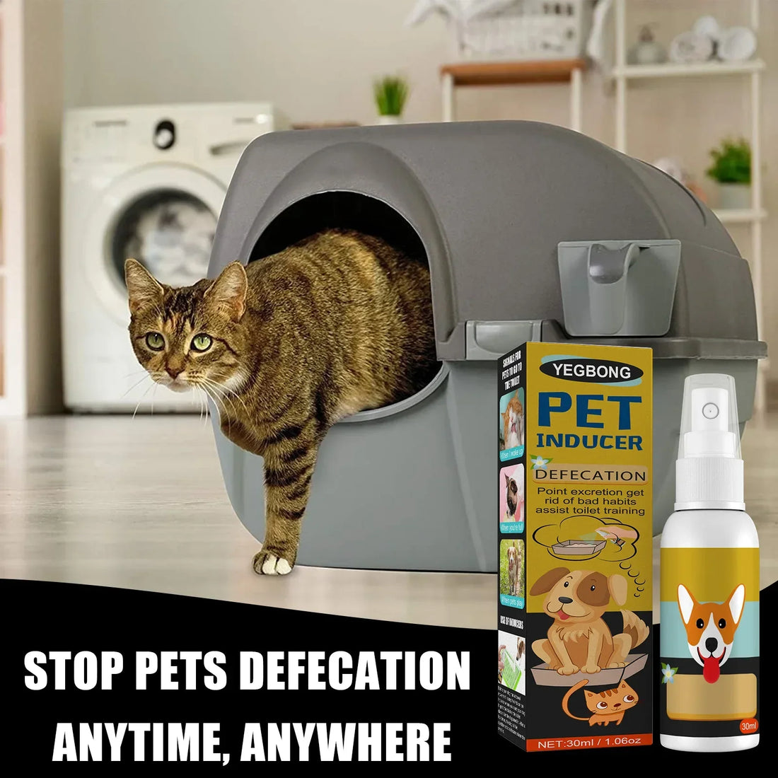Master Potty Training with Our Pet Potty Training Spray!