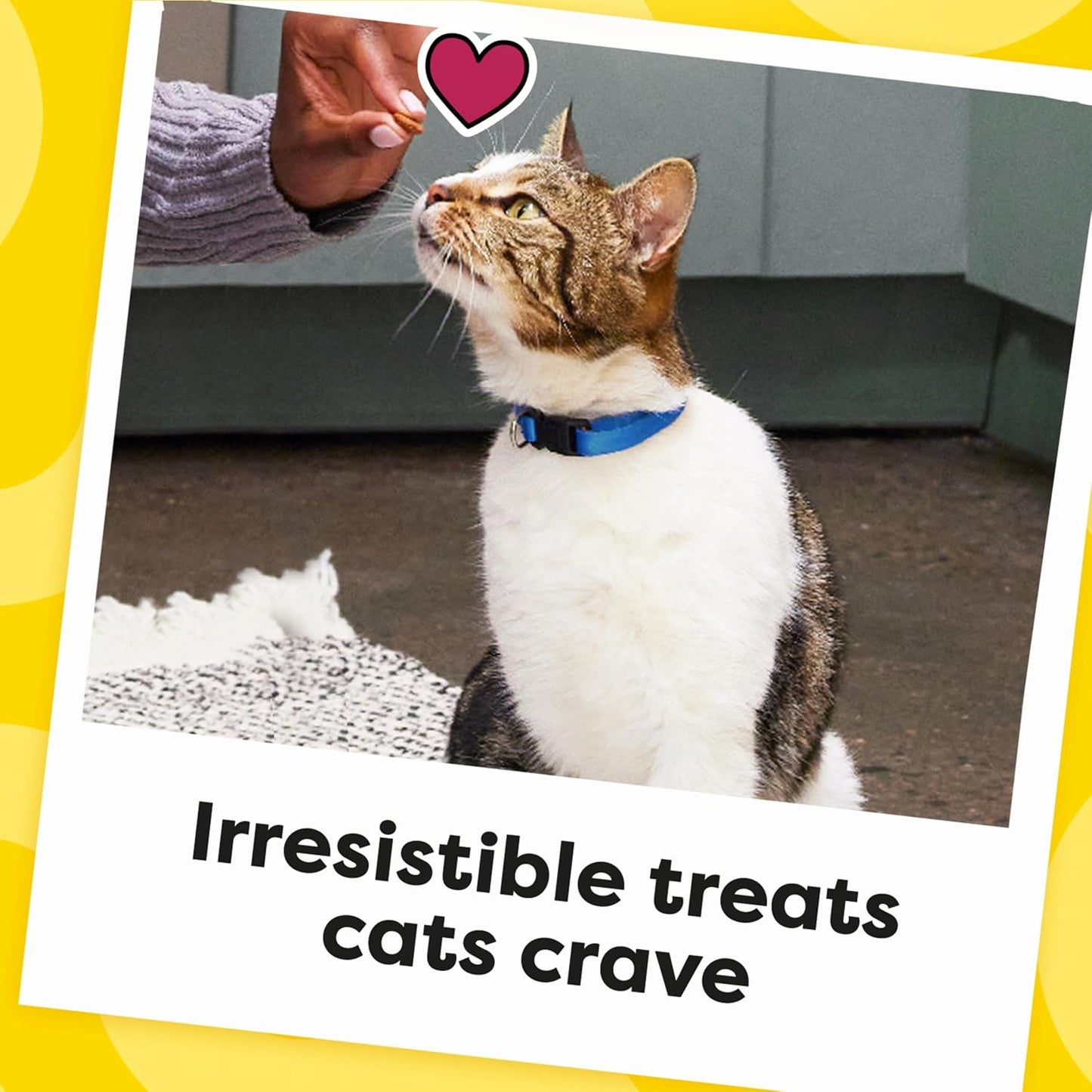 Temptations Classic Crunchy and Soft Cat Treats